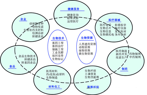 生物經(jīng)濟,一諾生物,廠家,工廠,生產(chǎn)廠家,生物經(jīng)濟規(guī)模