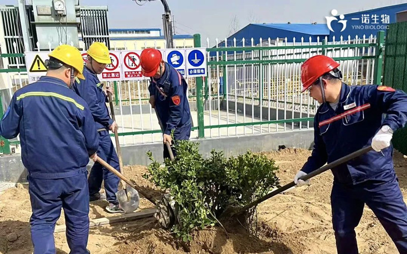 共植綠色未來(lái),化工企業(yè)植樹(shù)活動(dòng),環(huán)保,綠色工廠